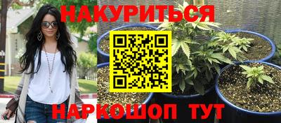 индика Волжский
