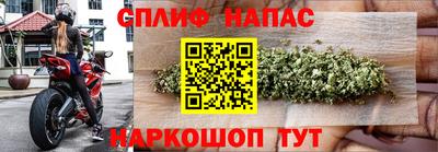 индика Волжский