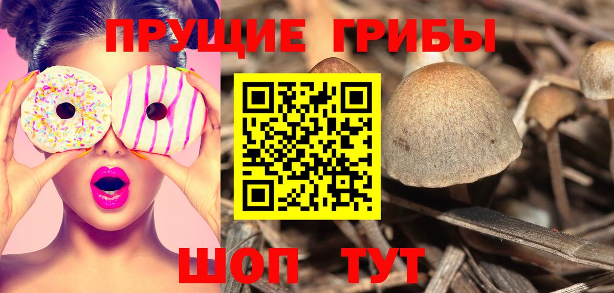Галлюциногенные грибы ЛСД Бердск